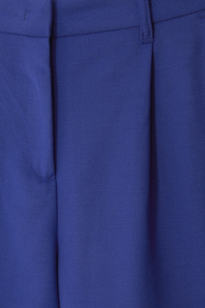 CAMPOSA BLD CLEMATIS BL