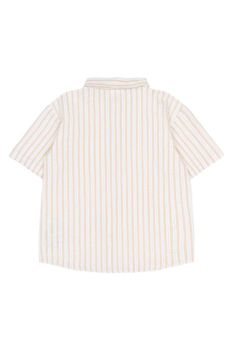 TNSmith S_S Shirt Humus Striped