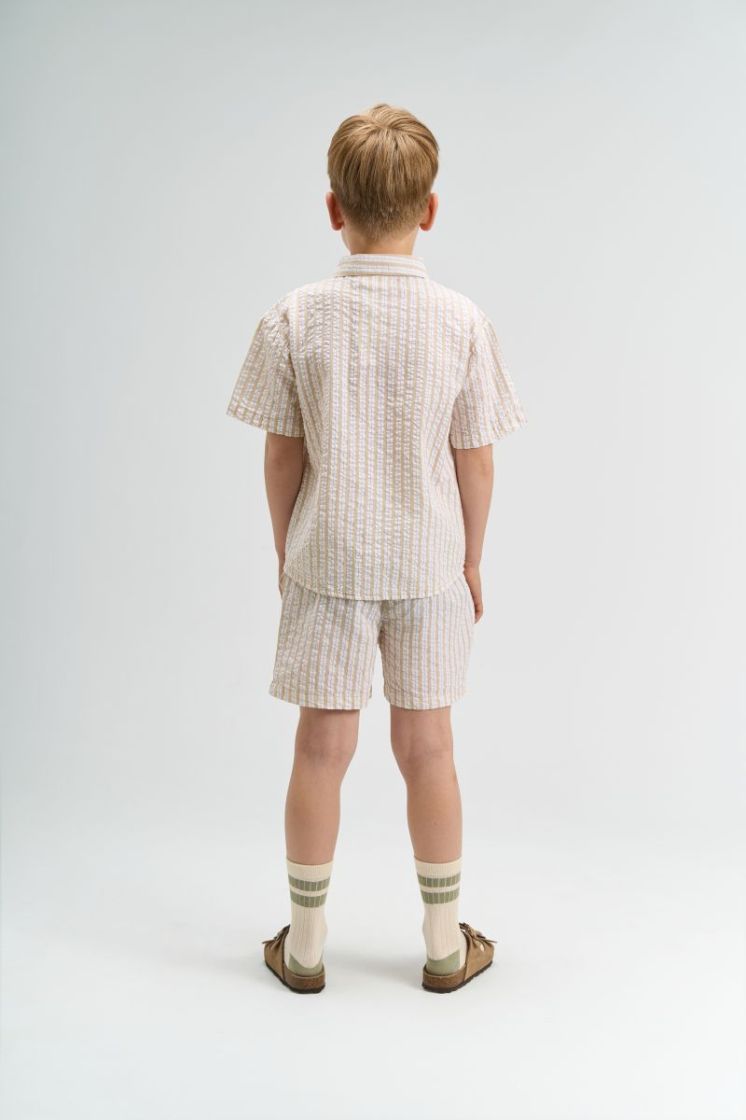 TNSmith S_S Shirt Humus Striped