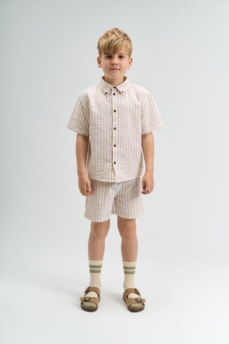 TNSmith Shorts Humus Striped