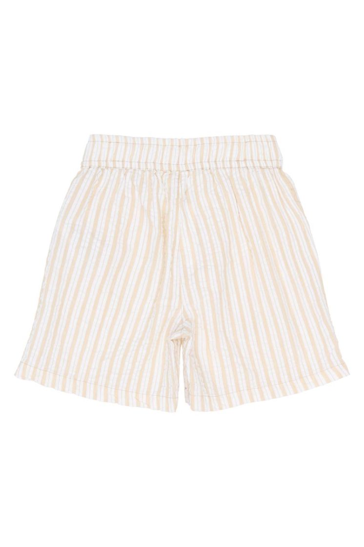 TNSmith Shorts Humus Striped