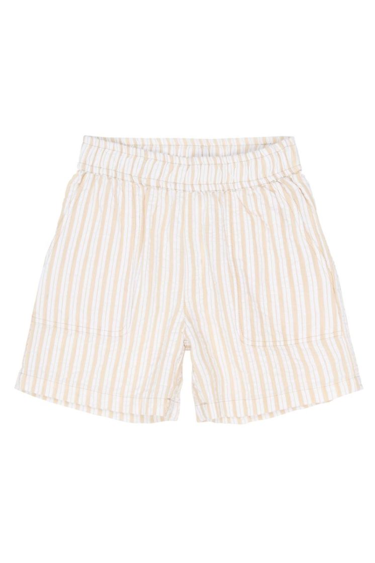 TNSmith Shorts Humus Striped