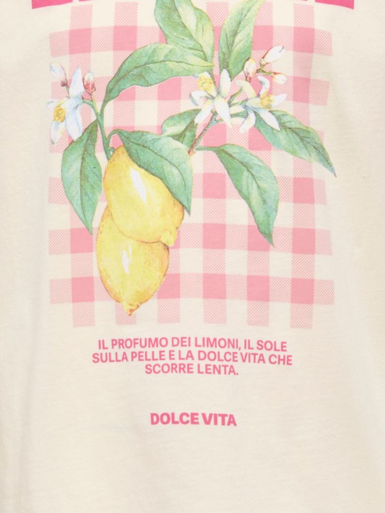 15368793 4957771 White