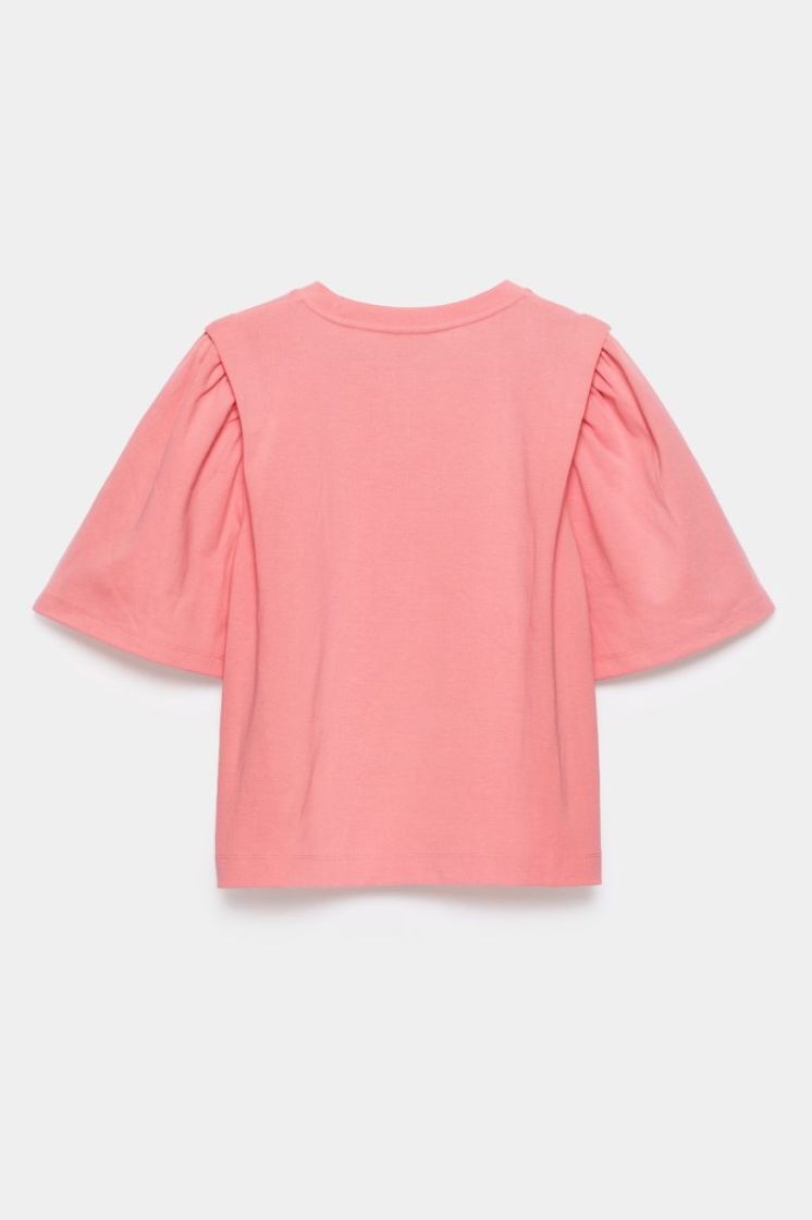 312829 RSF PINK BRIGHT