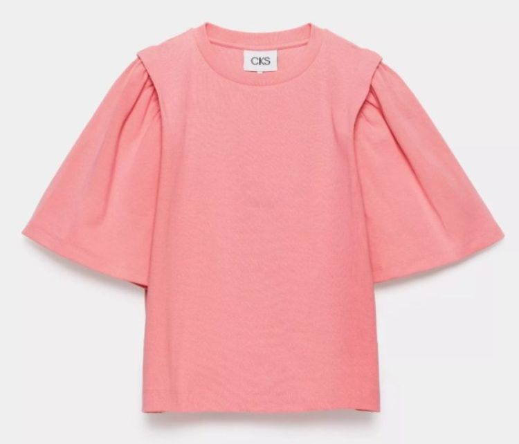 312829 RSF PINK BRIGHT