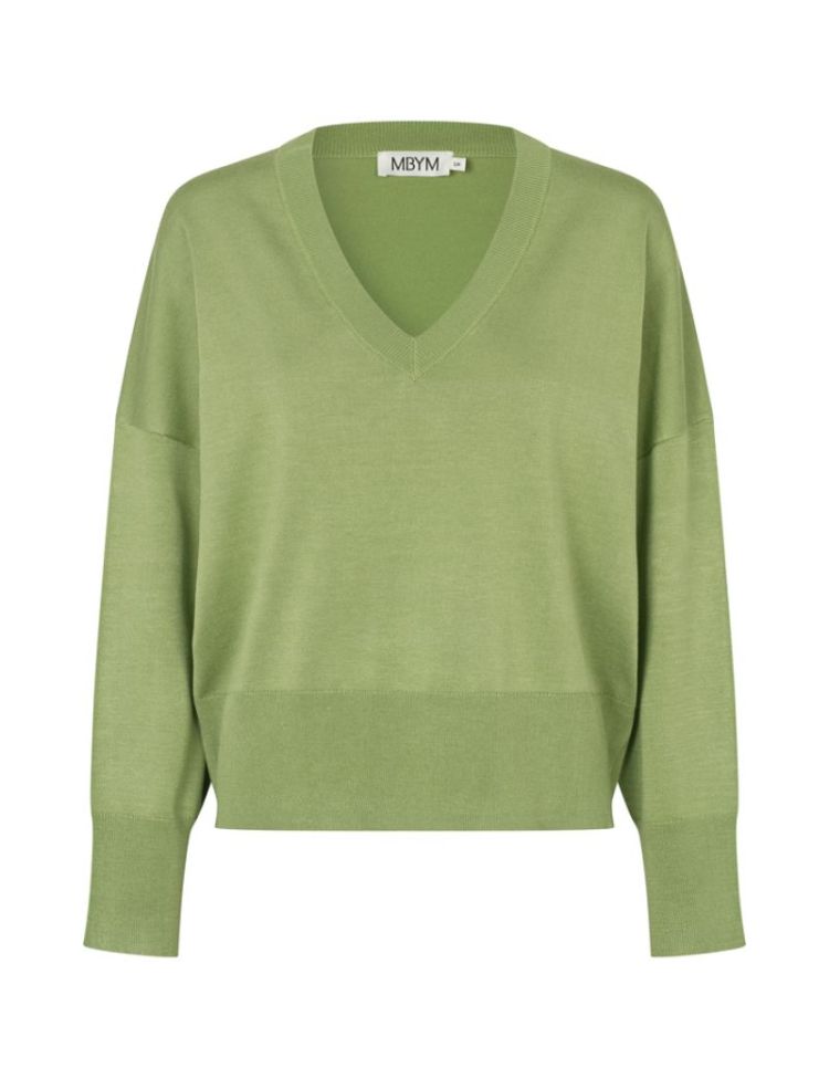57620487 warm olive dust