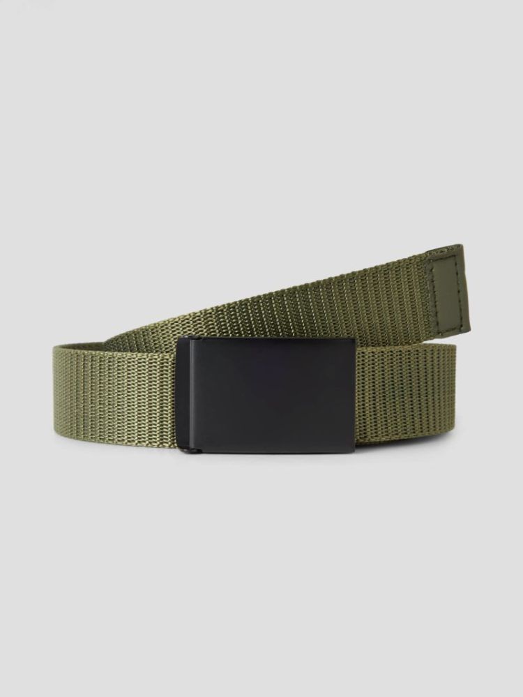13227077 Olive Night 508