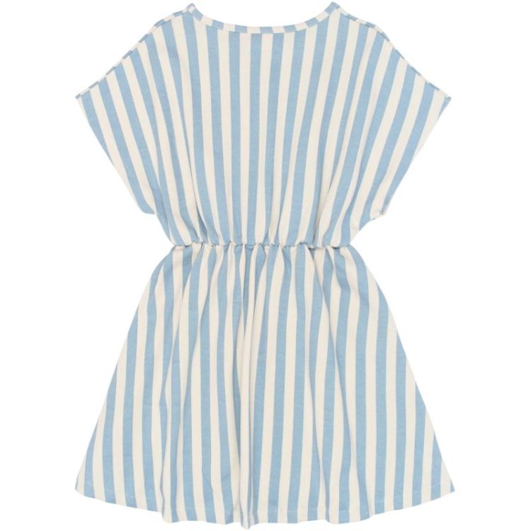 TN7042 BLUE STRIPE