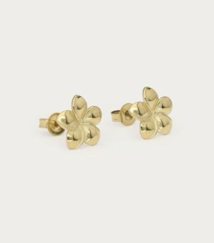 EARRINGS 1200 Gold