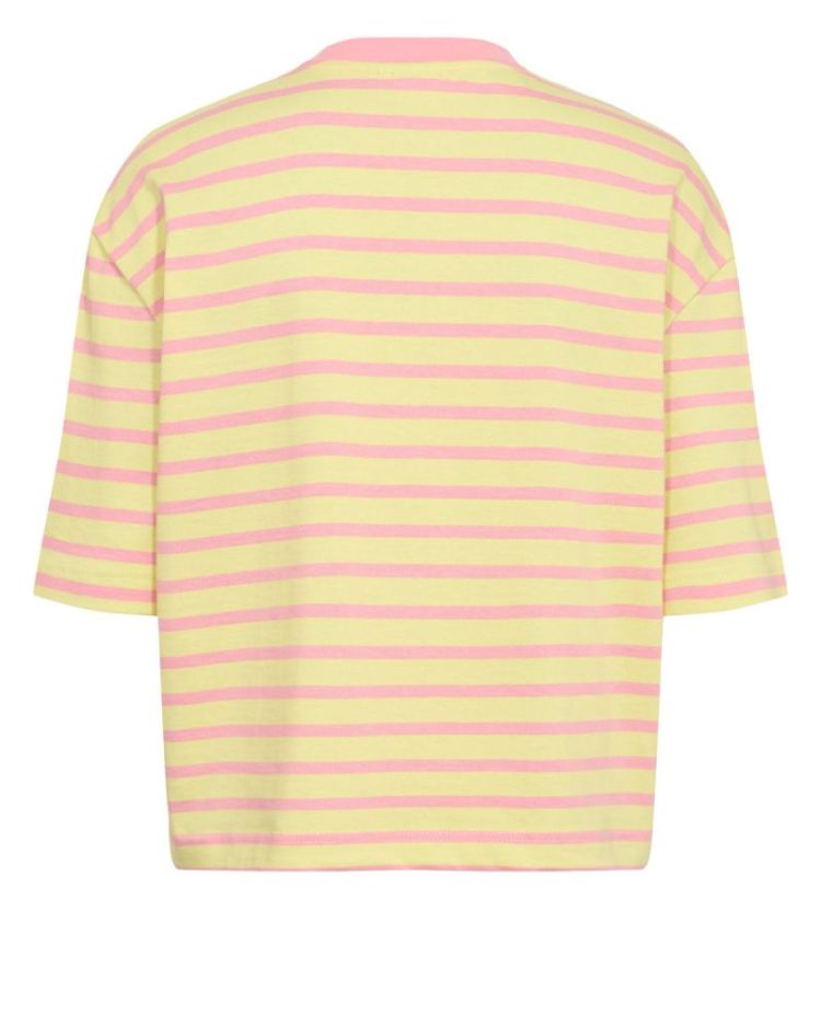 NUHIRLA CROPPED STRIPE T-SHIRT DIANTHUS