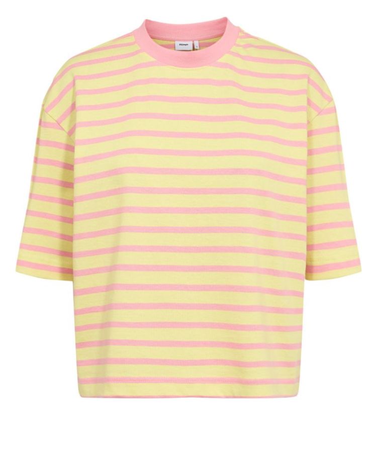 NUHIRLA CROPPED STRIPE T-SHIRT DIANTHUS